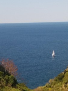 Case di Corniglia_113626