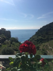 Case di Corniglia (19)